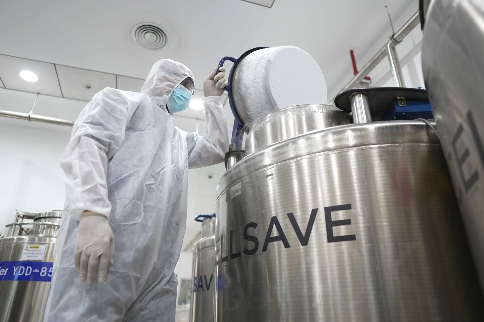 Inside a Stem Cells Bank in Dubai: How Your Baby’s Cells Are Collected and Stored